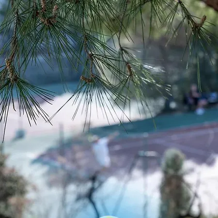 Le Poseidon Vue *